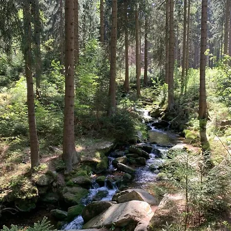 Kalina Z Widokiem Na Gory - Kilinskiego Apartman Świeradów-Zdrój