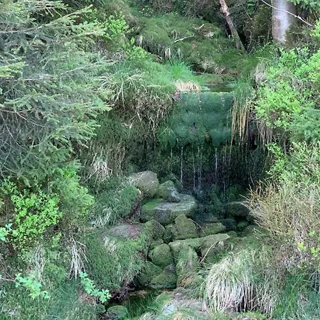 Kalina Z Widokiem Na Gory - Kilinskiego Apartman *