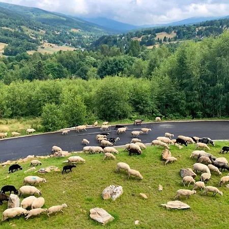 Apartman Kalina Z Widokiem Na Gory - Kilinskiego *