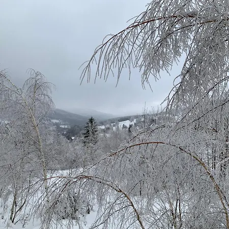 Apartman Kalina Z Widokiem Na Gory - Kilinskiego