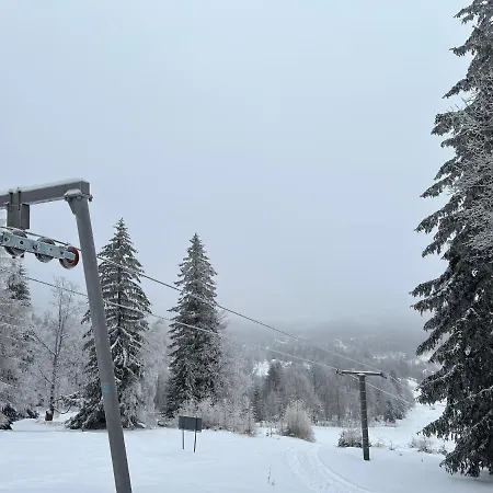 Kalina Z Widokiem Na Gory - Kilinskiego * Świeradów-Zdrój