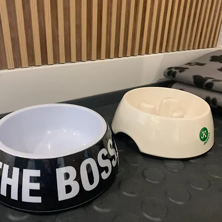 Kalina Z Widokiem Na Gory - Kilinskiego Apartman Świeradów-Zdrój