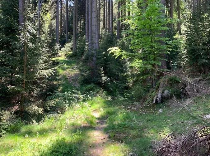 Apartment Kalina Z Widokiem Na Gory - Kilinskiego