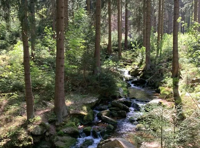 Kalina Z Widokiem Na Gory - Kilinskiego Apartment Swieradow-Zdroj