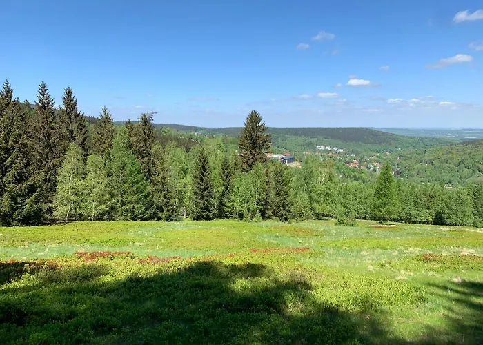 Kalina Z Widokiem Na Gory - Kilinskiego Swieradow-Zdroj