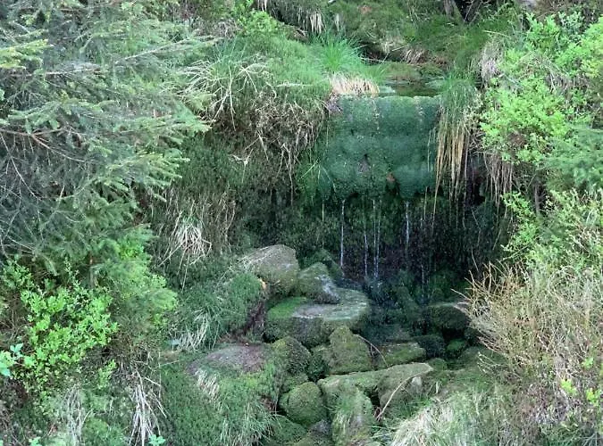 Kalina Z Widokiem Na Gory - Kilinskiego Apartment *