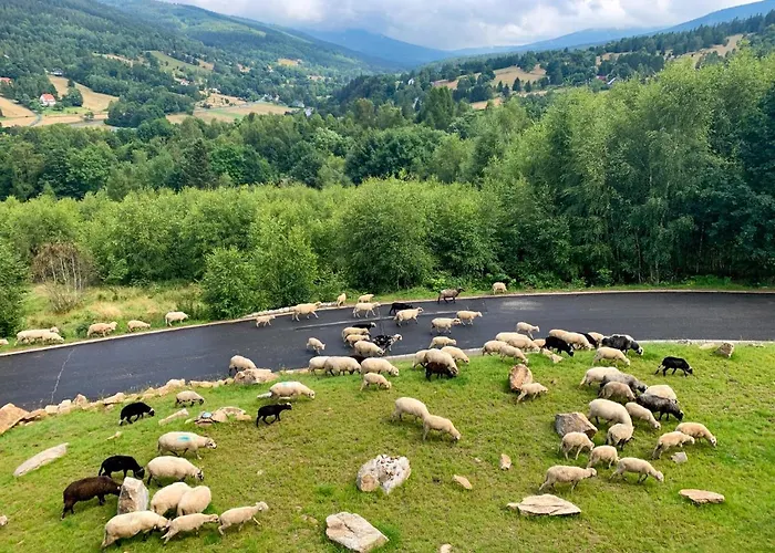 Apartment Kalina Z Widokiem Na Gory - Kilinskiego *