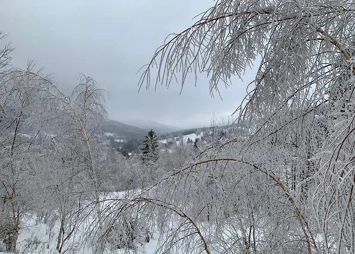 Apartment Kalina Z Widokiem Na Gory - Kilinskiego