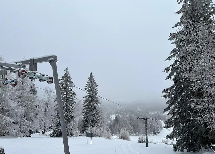 Kalina Z Widokiem Na Gory - Kilinskiego * Swieradow-Zdroj