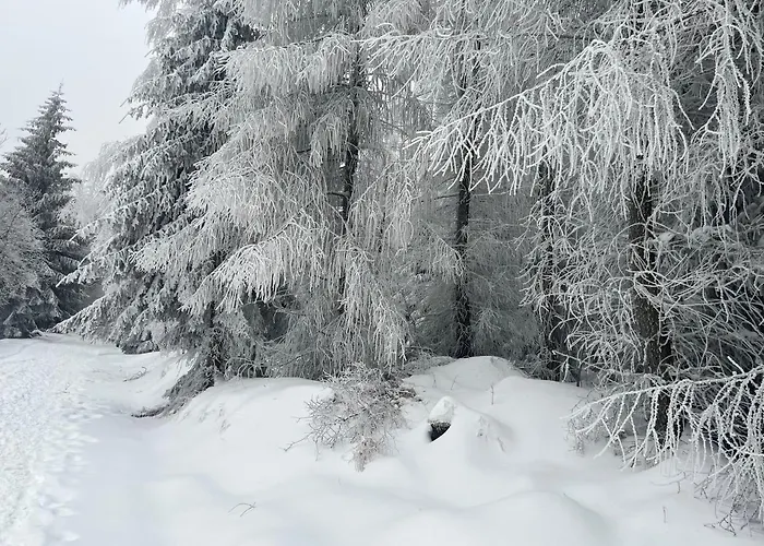 Apartment Kalina Z Widokiem Na Gory - Kilinskiego Swieradow-Zdroj