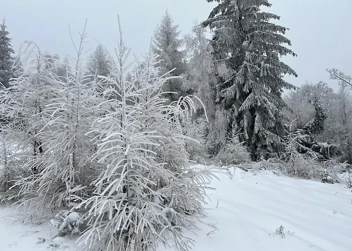 Kalina Z Widokiem Na Gory - Kilinskiego *