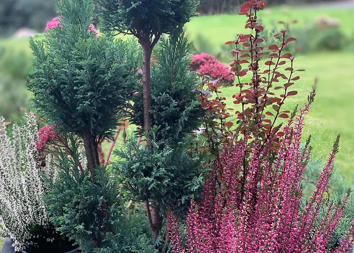 Kalina Z Widokiem Na Gory - Kilinskiego * Swieradow-Zdroj