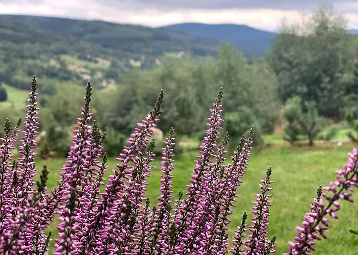 Kalina Z Widokiem Na Gory - Kilinskiego