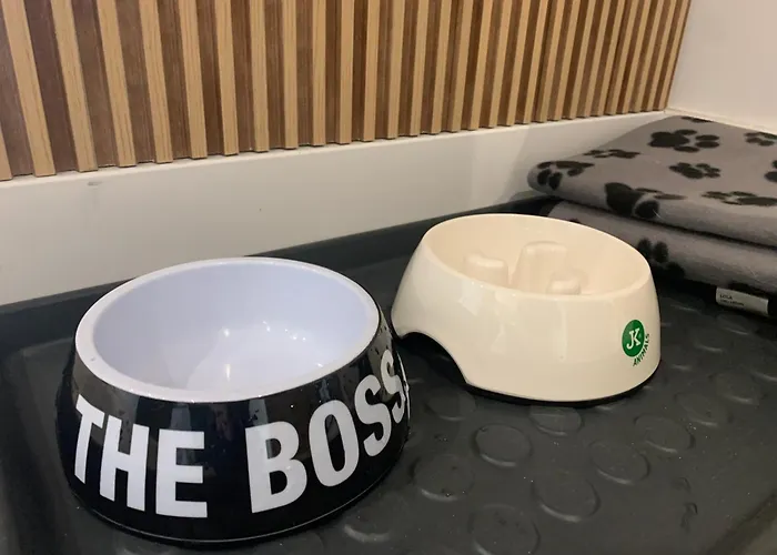 Kalina Z Widokiem Na Gory - Kilinskiego Apartment Swieradow-Zdroj